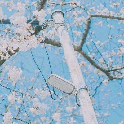飞车学院九游版下载