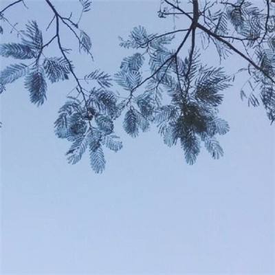 full of music游戏官方下载
